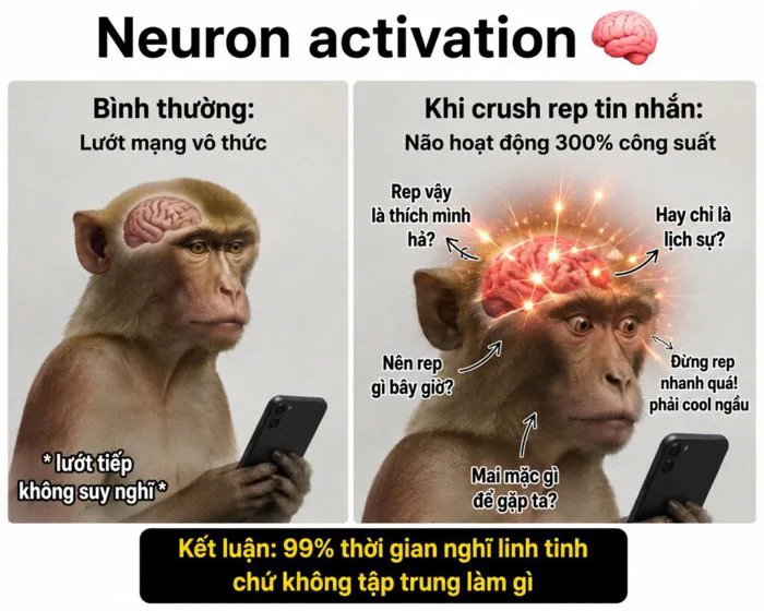 163+ Neuron Activation Meme Monkey cực hài hot