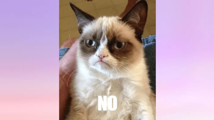 Những meme không siêu bựa, đáng yêu được nhiều người yêu thích