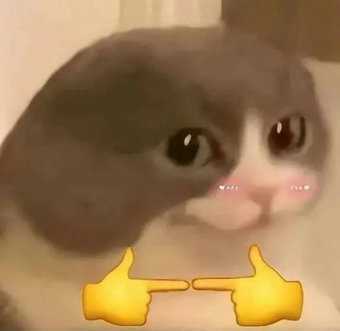 meme-ngai-1