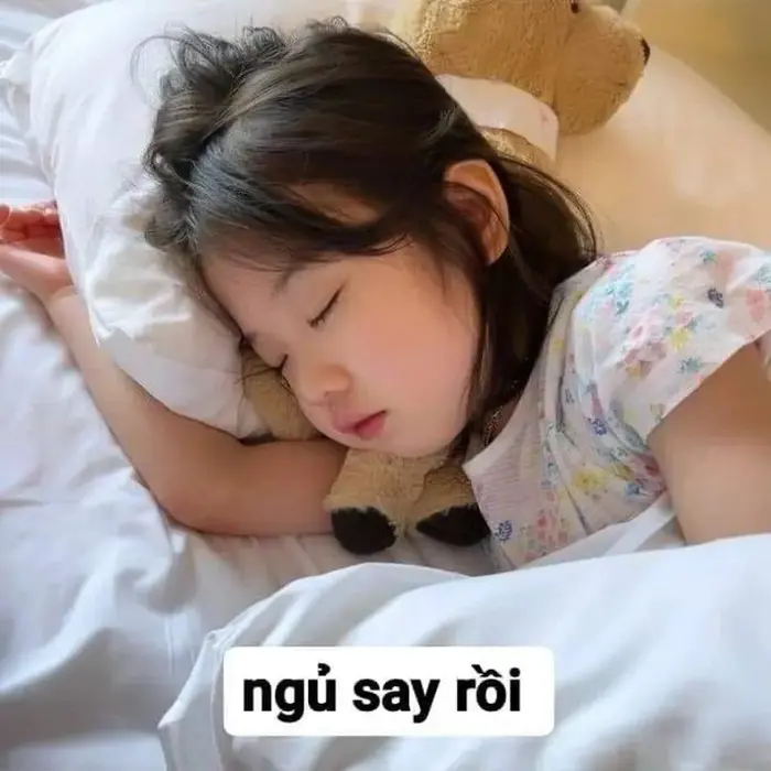 Gửi lời chúc ngủ ngon theo cách hài hước với meme dễ thương