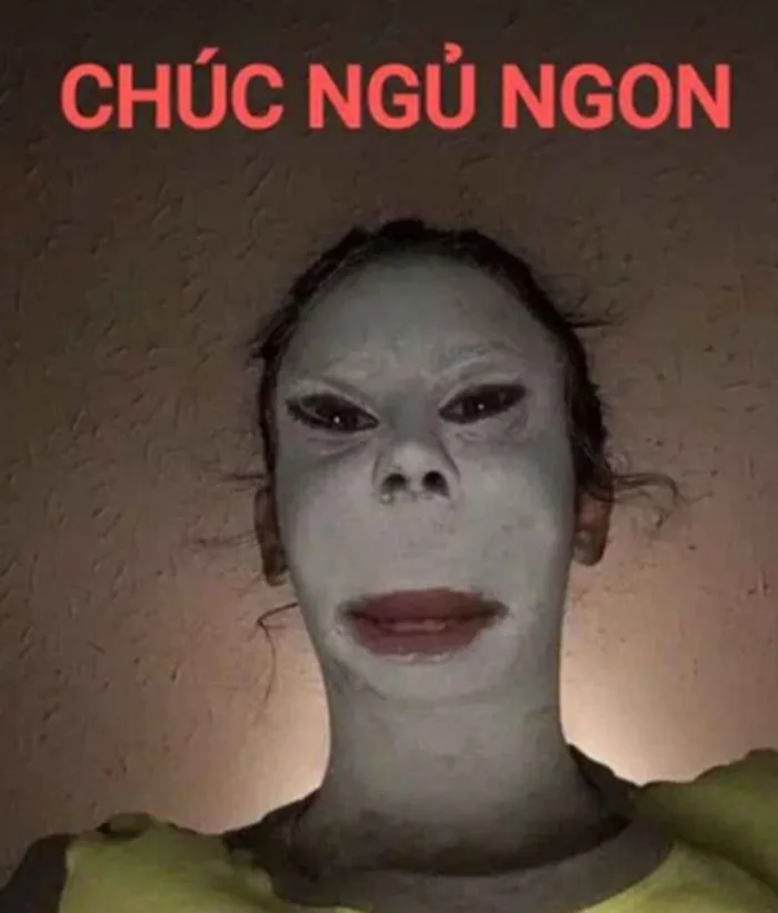 Trọn Bộ Sưu Tập Meme Chúc Ngủ Ngon Dễ Thương, Vui Nhộn 2026