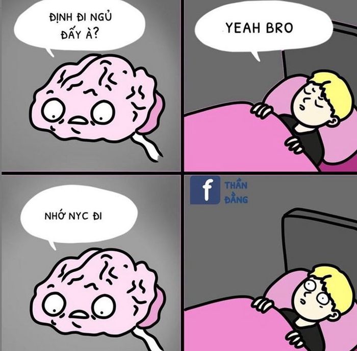 Meme 