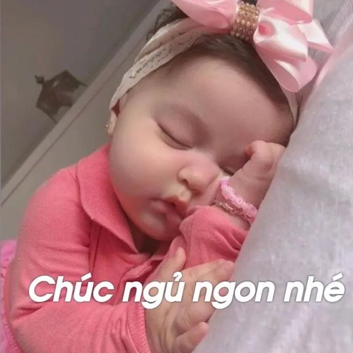 Tuyển chọn ảnh meme ngủ siêu hài hước khiến bạn bật cười