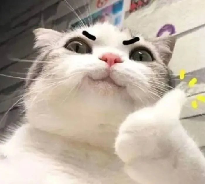 Bộ Sưu Tập 99+ Ảnh Cố Lên Meme Hài Hước, Đáng Yêu Nhất 2026
