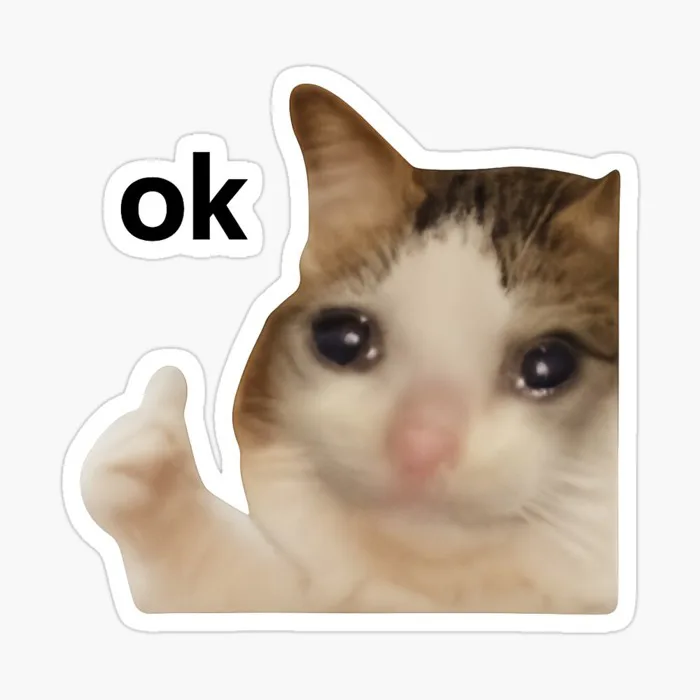 Sad cat meme saying 