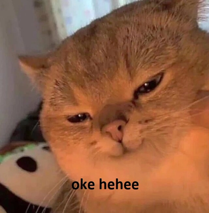 142+ Meme Mèo OK chất lừ bá đạo cười sặc cơm cả ngày