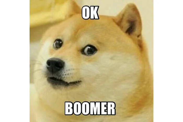 Meme Ok Boomer là gì và định nghĩa của Boomer ra sao mà ai cũng đang sử dụng