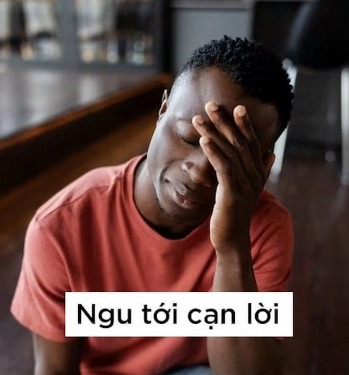 Khám phá loạt ảnh ôm meme trend mới nhất hiện nay