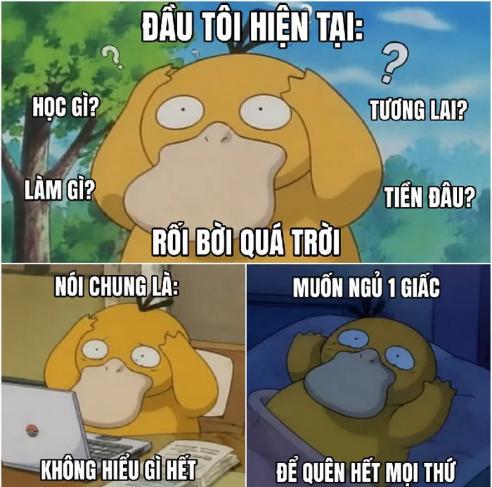 Top Psyduck meme - Vịt tâm thần Pokemon siêu lầy lội