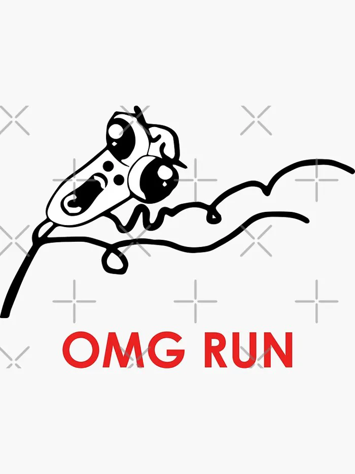 MEME: OMG RUN
