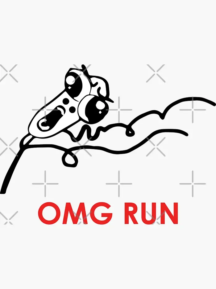MEME: OMG RUN