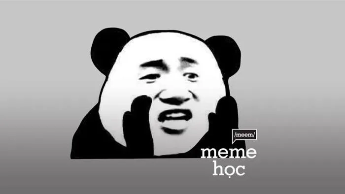 Ở đây chúng tôi có meme gấu trúc | Vietcetera Ở đây chúng tôi có meme gấu trúc | Vietcetera