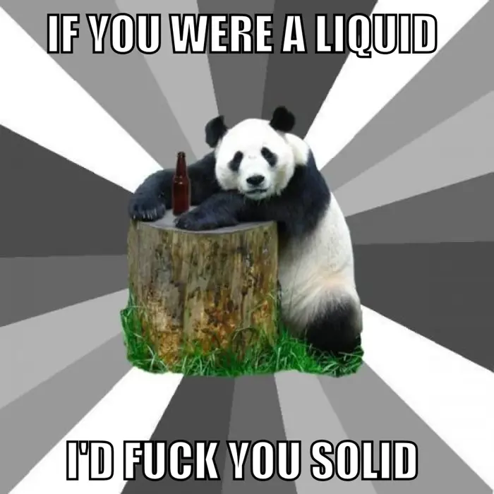 Pickup Line Panda - Advice Animal Meme Origin & Meaning Pickup Line Panda - Advice Animal Meme Origin & Meaning