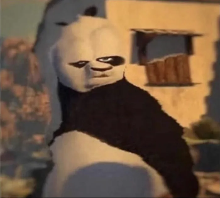 Weird panda Meme Generator Weird panda Meme Generator