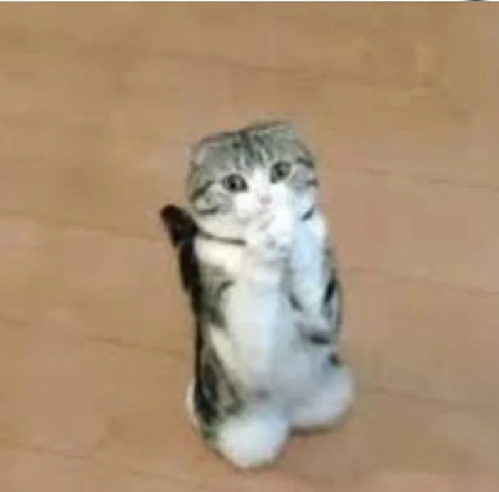 Tổng Hợp 99+ Meme Lạy, Quỳ Lạy Siêu Hài Hước Cho Dân Mạng