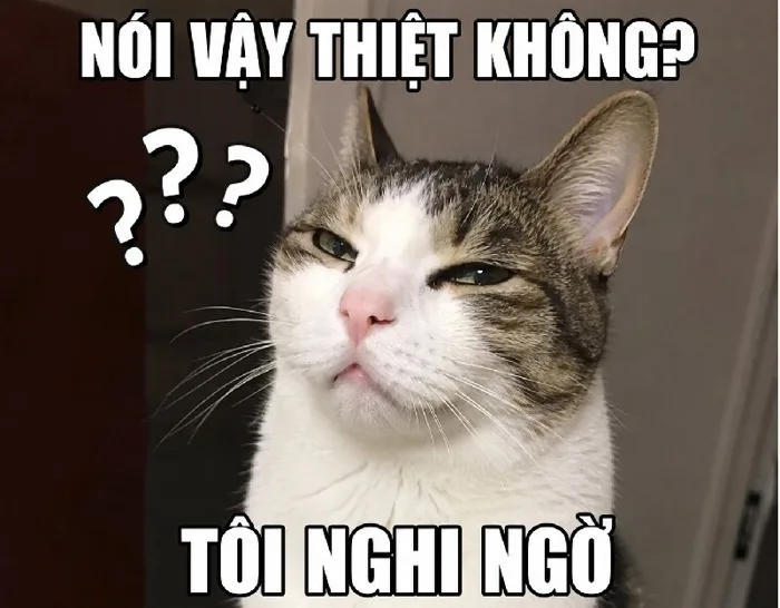 Bộ sưu tập 143 meme ngờ vực hài hước và đầy biểu cảm hình ảnh đẹp ấn tượng  - hinhanhdep3d.com