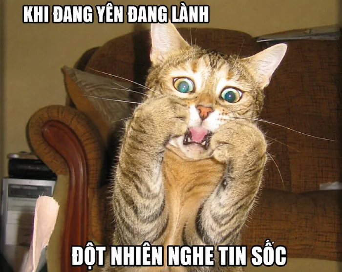 Bộ sưu tập 143 meme ngờ vực hài hước và đầy biểu cảm hình ảnh đẹp ấn tượng  - hinhanhdep3d.com