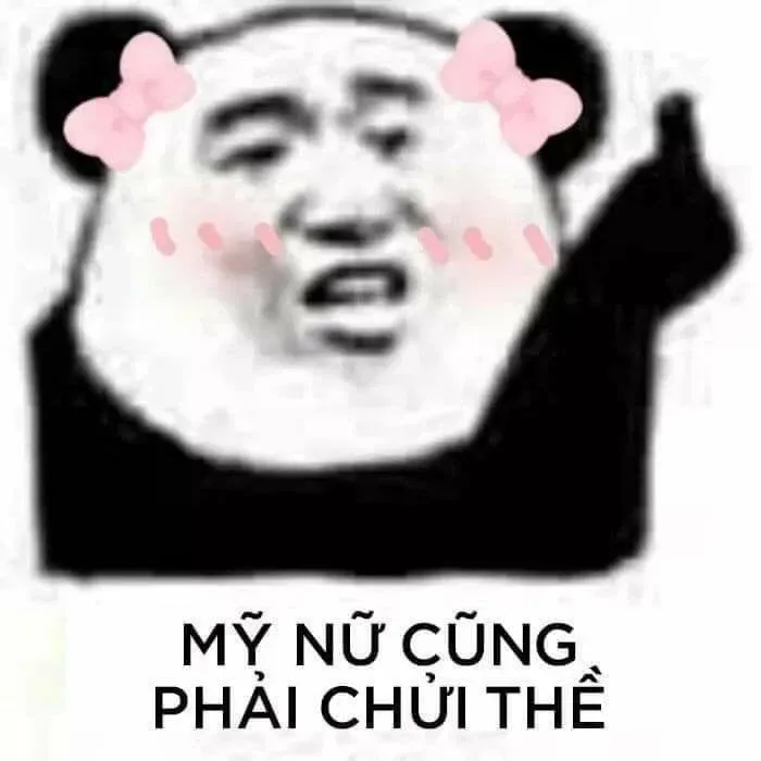 Meme là gì? 300+ meme hài, chất nhất quả đất để bạn comment dạo thả ga