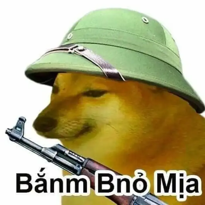 Tổng hợp ảnh shiba meme độc đáo, hot trend trên mạng xã hội