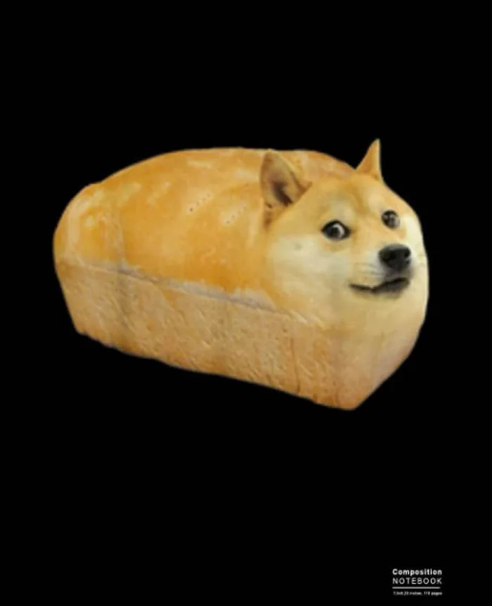 Funny Shiba Inu Doge Bread Meme Composition Notebook: Shiba Inu, Shiba  Inus, Dog, Dogs, Puppy Wide Blank Lined Workbook for Teens Kids Students  Girls ...