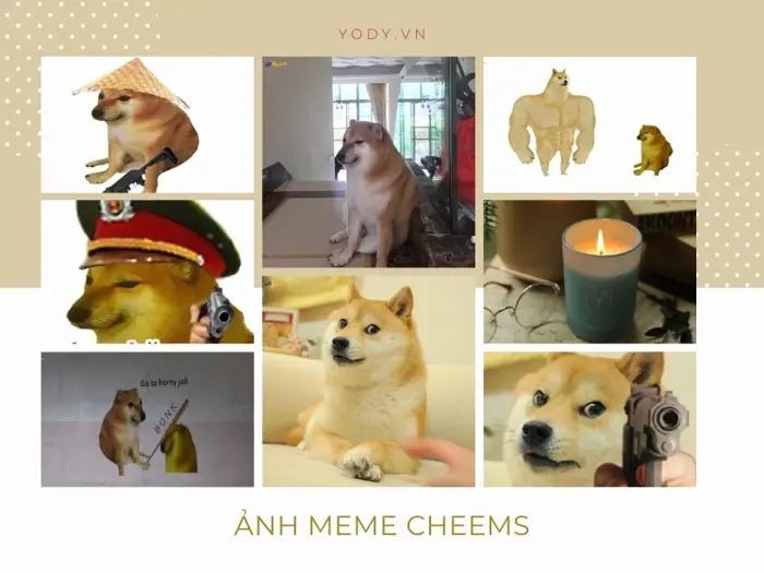 Tổng hợp ảnh meme chó Shiba hài hước và đáng yêu nhất 2026 – AquaGreen – Hệ  thống nhà thuốc Việt Mỹ
