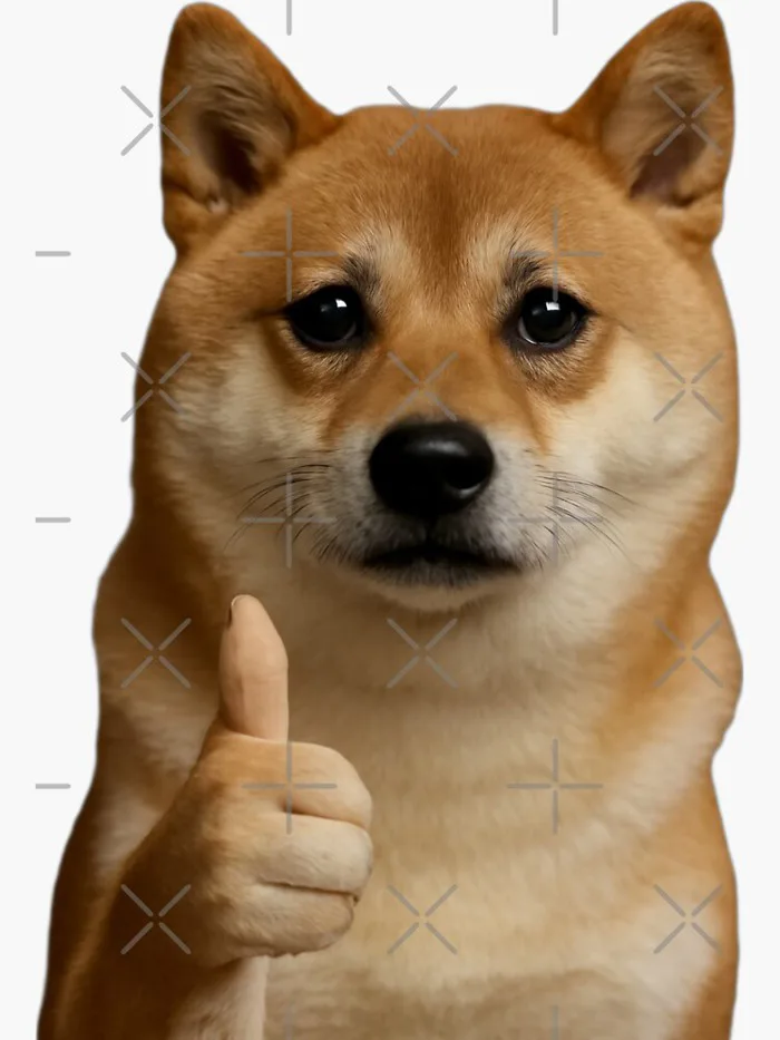 Everything is good shiba inu funny weird prank meme cute happy christmas  birthday gift 