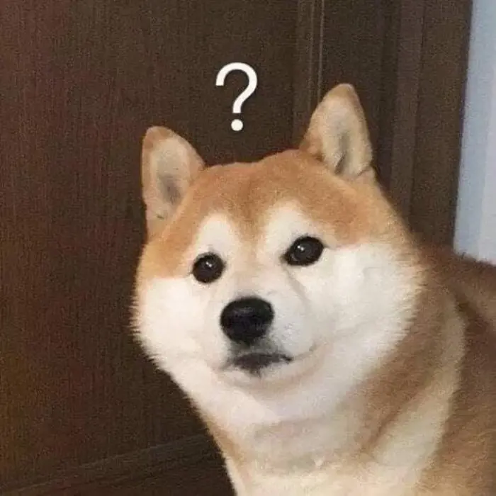 Tổng hợp ảnh shiba meme độc đáo, hot trend trên mạng xã hội