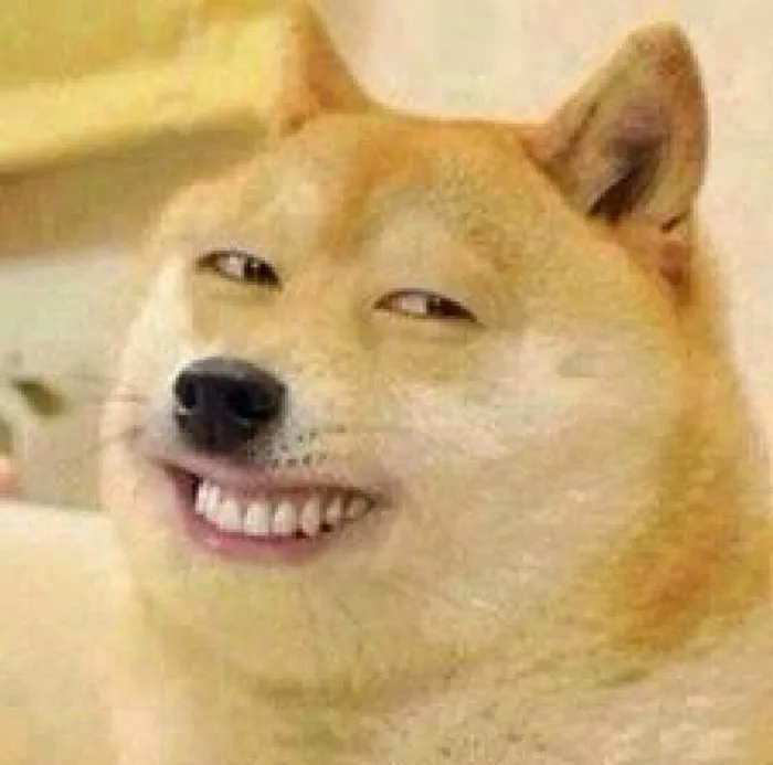Meme chó Shiba là ai? Tại sao lại nổi tiếng trên thế giới? Từ trào lưu mạng  xã hội đến biểu tượng văn hóa đại chúng