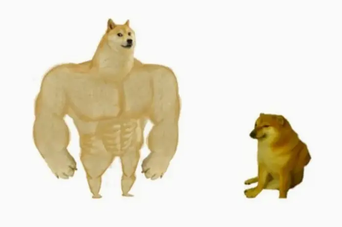 Tổng hợp ảnh meme chó Shiba hài hước và đáng yêu nhất 2026 – AquaGreen – Hệ  thống nhà thuốc Việt Mỹ
