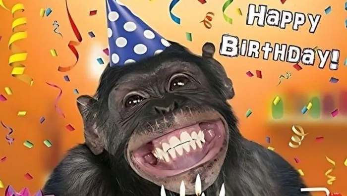 Bộ Sưu Tập 99+ Meme Chúc Mừng Sinh Nhật Dễ Thương, Hóm Hỉnh