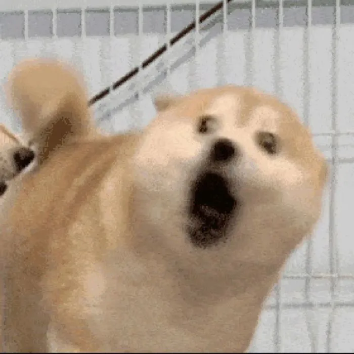 75+ Sợ Quá Sợ Quá meme phải ban nó thôi siêu hài