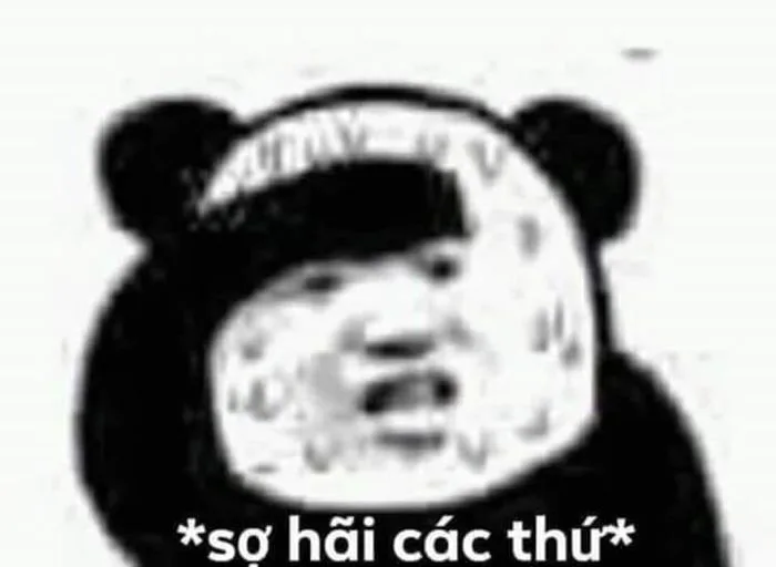 200 Meme ngộ ý tưởng trong 2026 | hình biểu cảm, gấu trúc, hoạt hình vui  nhộn