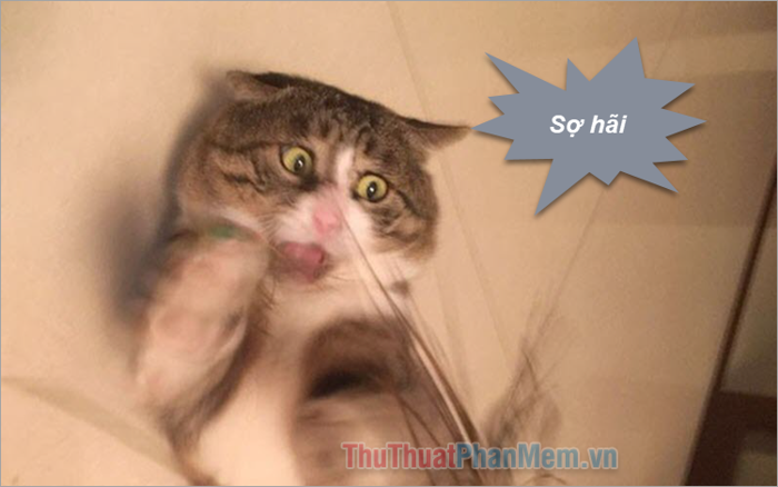 Tuyển tập những meme sợ hãi hài hước đỉnh cao, đem lại tiếng cười thư giãn