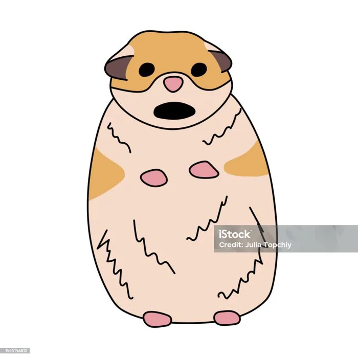 Meme Nổi Tiếng Với Hamster Sợ Hãi Phẳng Truyện Tranh Vui Nhộn Vector Minh  Họa Sợ Hãi Động Vật Ngạc Nhiên Nhãn Dán Cho Người Đưa Tin Mở Miệng Sợ Hình  minh