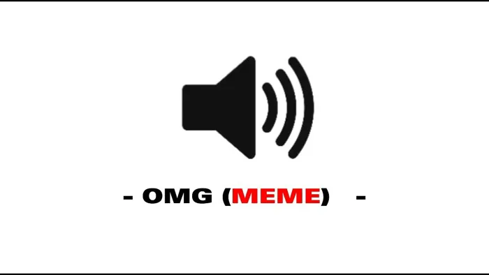OMG (meme) - Sound Effect OMG (meme) - Sound Effect