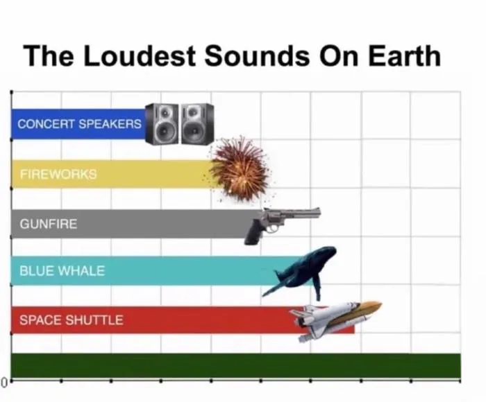 The Loudest Sounds On Earth Meme Generator The Loudest Sounds On Earth Meme Generator