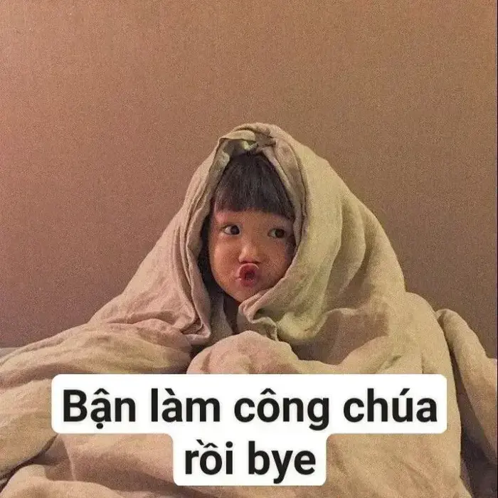 BST 70 Ảnh Meme Tạm Biệt độc lạ, hài hước cho khoảnh khắc chia tay rộn ràng  tiếng cười