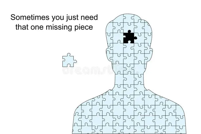 Meme Template, Person with One Missing Piece Stock Vector - Illustration of  missing, puzzle: 385124826