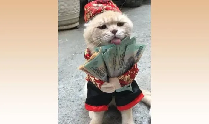 1.000+ meme Tết 2026 xuân Bính Ngọ hài hước, vui nhộn