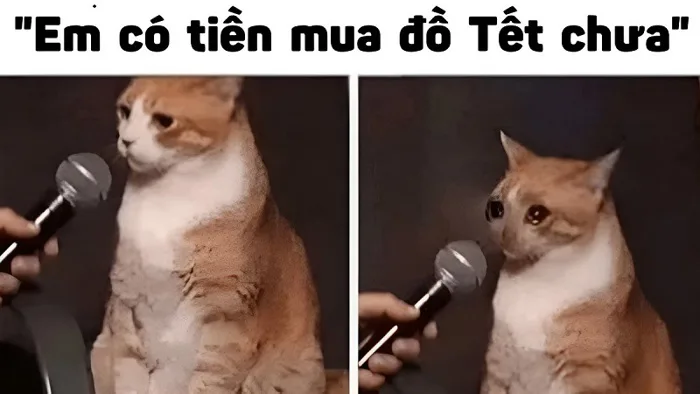 30+ meme Tết hài hước, thú vị cho năm mới nhiều niềm vui