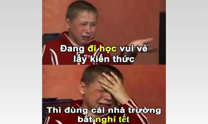 1.000+ meme Tết 2026 xuân Bính Ngọ hài hước, vui nhộn