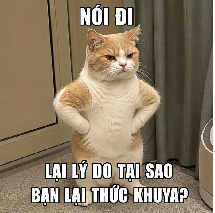 meme-that-vong-1