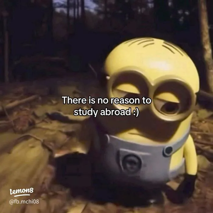 Ảnh Minion buồn và gái xinh che mặt: bộ meme dễ thương mà hơi… tổn thương