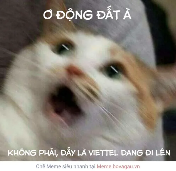 Viettel không làm ae thất vọng bao giờ