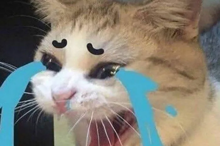 Meme bất lực hài hước và độc đáo, bạn đừng nên bỏ lỡ