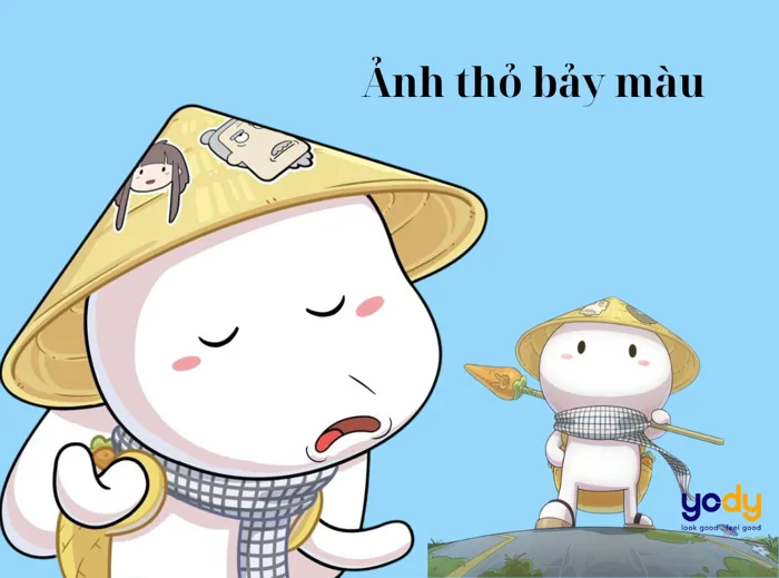 1001+ Hình ảnh Thỏ bảy màu hài hước giải trí đỉnh cao | Yody