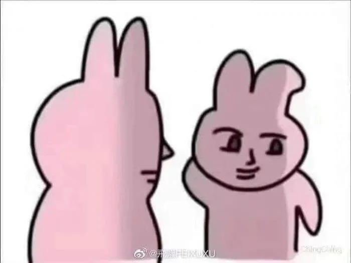 Mèo munchkin | Xì trum, Mèo ú pusheen, Meme thỏ hồng