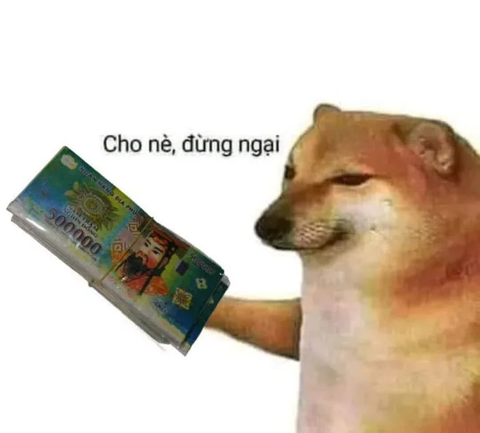 8 Ảnh vui ý tưởng | ảnh vui, meme, chuyện cười