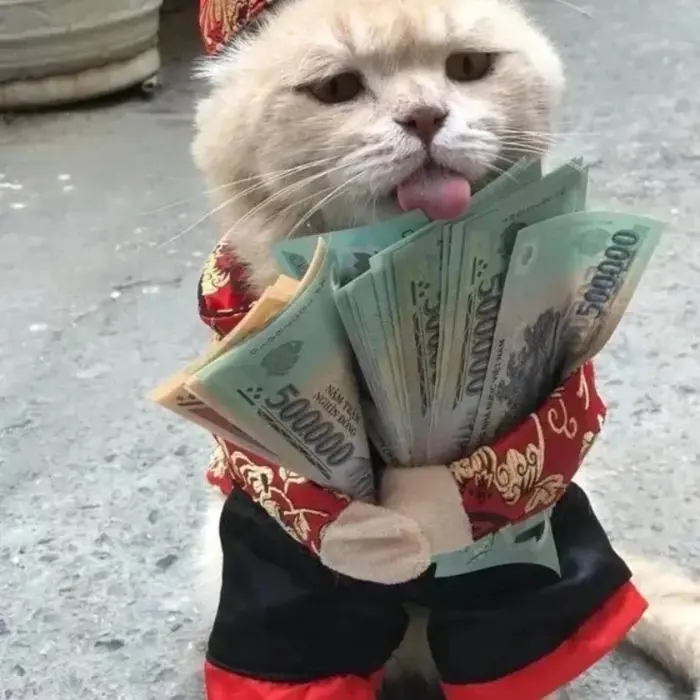 Tuyển chọn ảnh meme tiền siêu hài không thể bỏ lỡ hôm nay