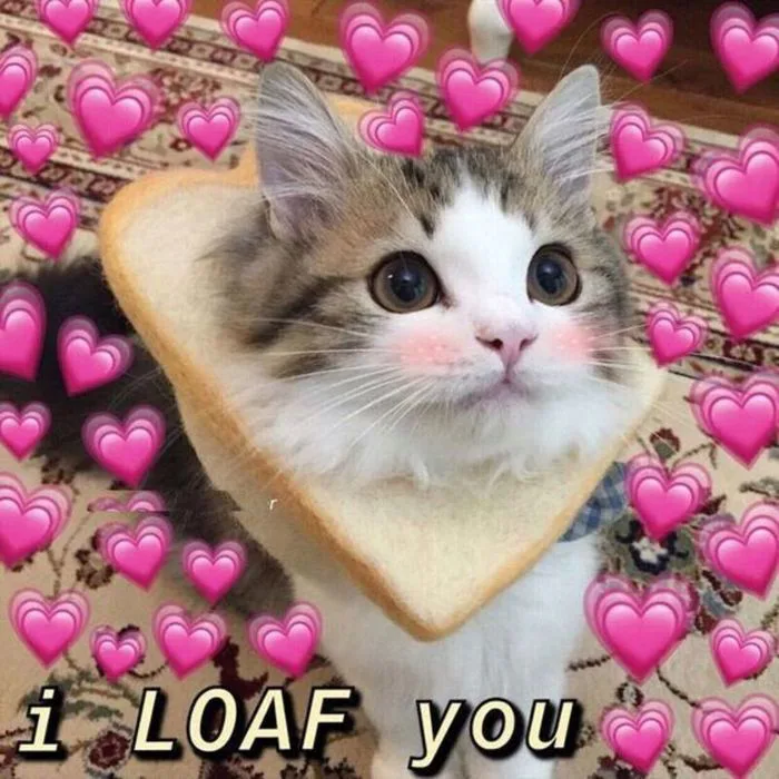 Tổng Hợp 999+ Meme Tình Yêu Dễ Thương, Cute Nhất 2026